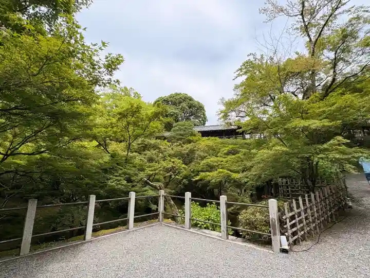 東福禅寺(東福寺)(京都府)