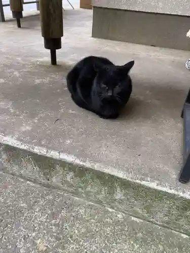 間々田八幡宮(栃木県)