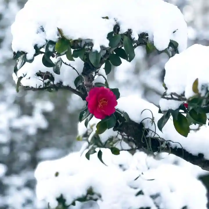 伊勢の国 四天王寺(三重県)