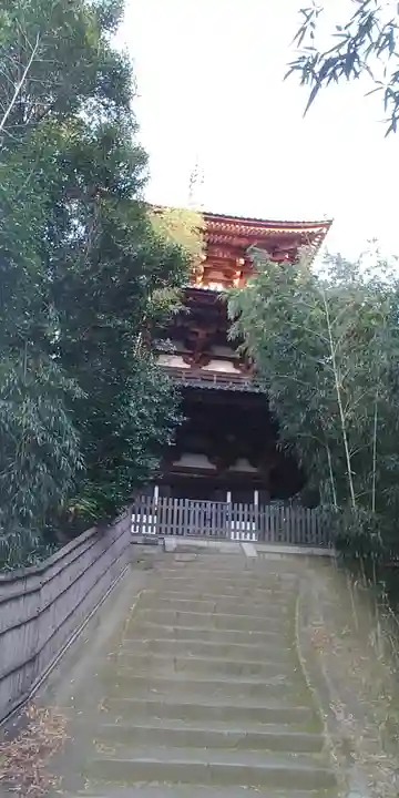 當麻寺(奈良県)