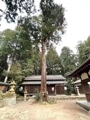 坂本神社(滋賀県)