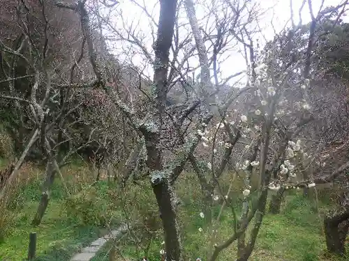 瑞泉寺のその他建物