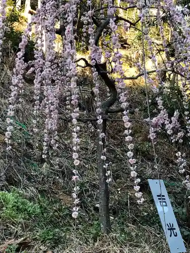 大縣神社の庭園