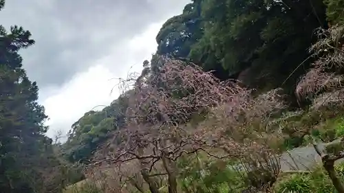 龍尾神社(静岡県)