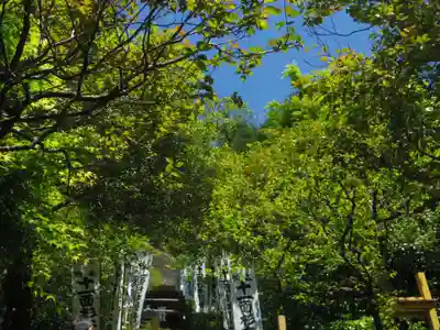 杉本寺のその他建物