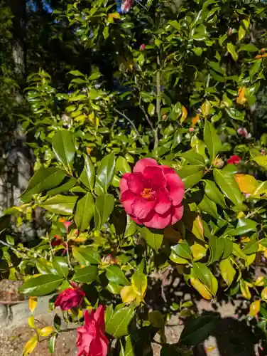 隠津島神社(福島県)
