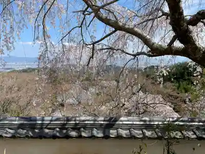 善峯寺(京都府)