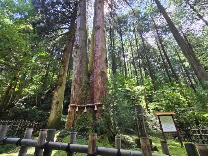 御岩神社(茨城県)