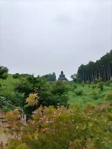 寳光寺　鹿野大佛(東京都)