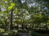 真正極楽寺(真如堂)の庭園