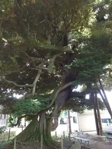 九重神社の自然