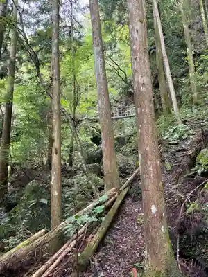 聖神社(高知県)