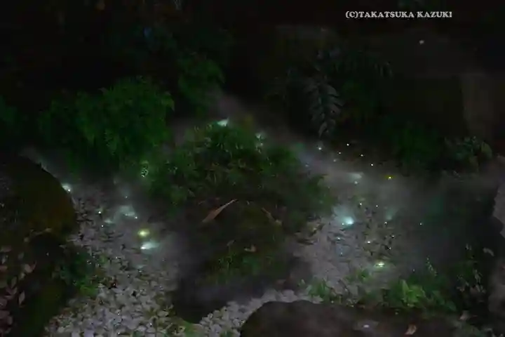 川越氷川神社(埼玉県)