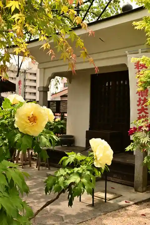 少林寺(埼玉県)