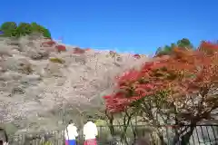 川見薬師寺の自然