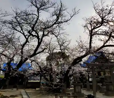 聖天山正圓寺の自然