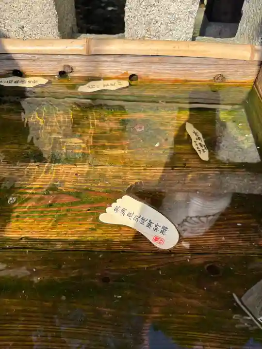 賀茂御祖神社(下鴨神社)(京都府)