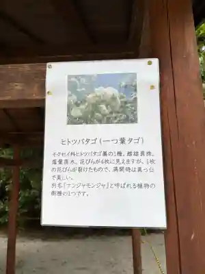 賀茂別雷神社（上賀茂神社）(京都府)