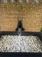 北門神社(北海道)