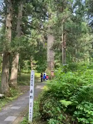 出羽神社(出羽三山神社)~三神合祭殿~の{uncategorized: "未分類", other: "その他", undefined: "問題あり", building: "その他建物", grave: "お墓", sacred_gate: "鳥居", guardian: "狛犬", statue: "像", buddha: "仏像", history: "歴史", nature: "自然", garden: "庭園", animal: "動物", pagoda: "塔", temizu: "手水舎", mountain_gate: "山門・神門", sanctuary: "本殿・本堂", subordinate: "末社・摂社", art: "芸術", scenery: "景色", jizo: "地蔵", ema: "絵馬", goshuin: "御朱印", omikuji: "おみくじ", items: "授与品その他", amulet: "お守り", goshuincho: "御朱印帳", eats: "食事", festival: "お祭り", votive_dance: "神楽", shichigosan: "七五三参", wedding: "結婚式", experience: "体験その他", initially: "初詣", around: "周辺", anti_infection: "感染症対策"}