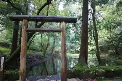 平泉寺白山神社(福井県)