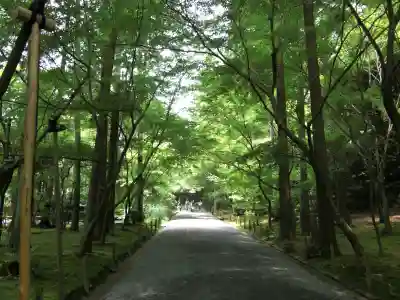 龍安寺の{uncategorized: "未分類", other: "その他", undefined: "問題あり", building: "その他建物", grave: "お墓", sacred_gate: "鳥居", guardian: "狛犬", statue: "像", buddha: "仏像", history: "歴史", nature: "自然", garden: "庭園", animal: "動物", pagoda: "塔", temizu: "手水舎", mountain_gate: "山門・神門", sanctuary: "本殿・本堂", subordinate: "末社・摂社", art: "芸術", scenery: "景色", jizo: "地蔵", ema: "絵馬", goshuin: "御朱印", omikuji: "おみくじ", items: "授与品その他", amulet: "お守り", goshuincho: "御朱印帳", eats: "食事", festival: "お祭り", votive_dance: "神楽", shichigosan: "七五三参", wedding: "結婚式", experience: "体験その他", initially: "初詣", around: "周辺", anti_infection: "感染症対策"}