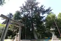 三春大神宮の自然