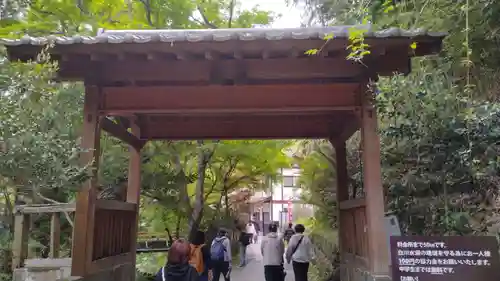 白川吉見神社(熊本県)