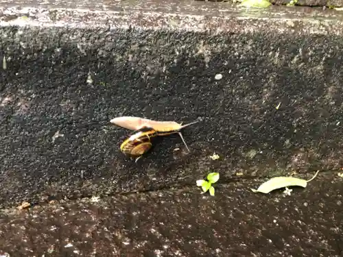 天満神社の自然