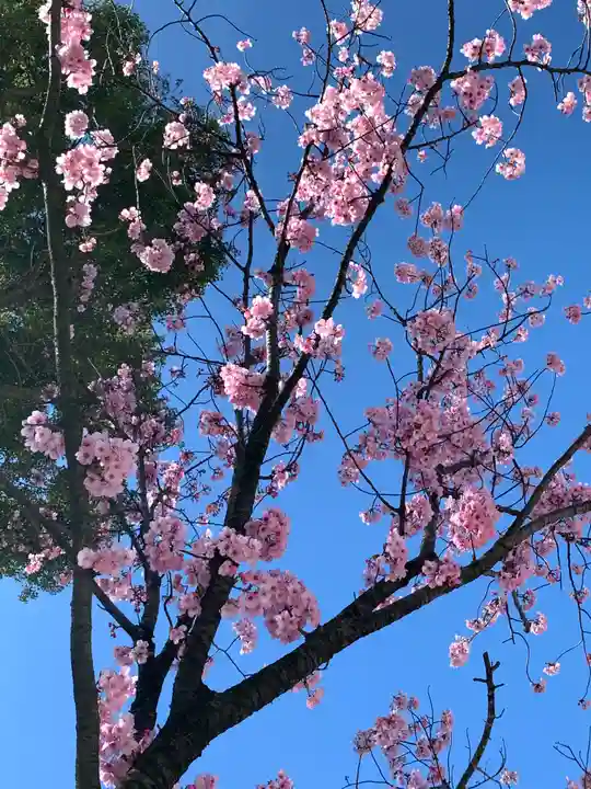寒川神社の自然