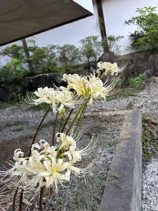 西光院(茨城県)