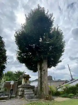 橋寺 放生院の自然