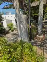 白山神社(神奈川県)