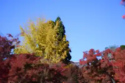 禅林寺(永観堂)(京都府)