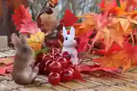 阿邪訶根神社の手水舎