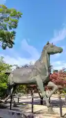 京都乃木神社の狛犬