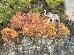 観音山慈眼院（高崎観音）(群馬県)