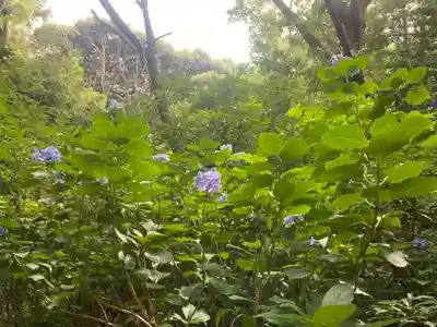 二川伏見稲荷(愛知県)
