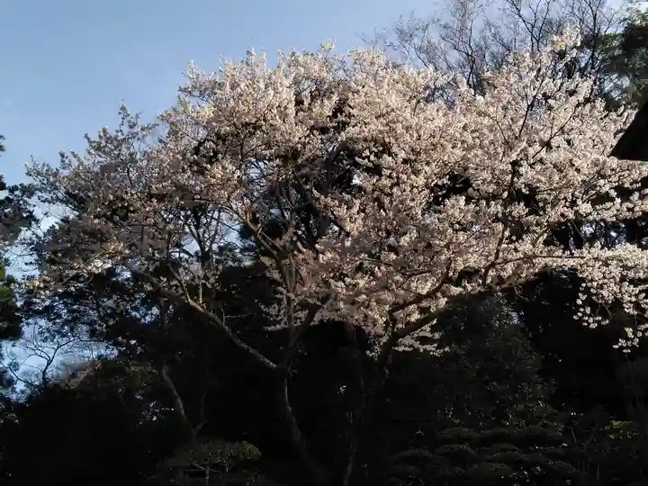 伊勢神宮内宮(皇大神宮)(三重県)