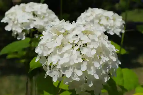  智積院(京都府)