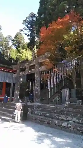 英彦山神宮の鳥居