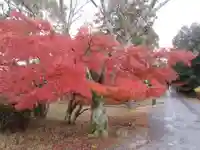 園城寺(三井寺)(滋賀県)