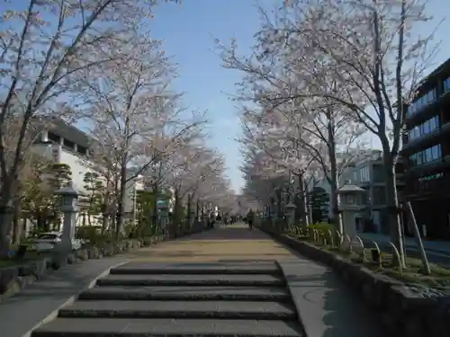 鶴岡八幡宮の景色