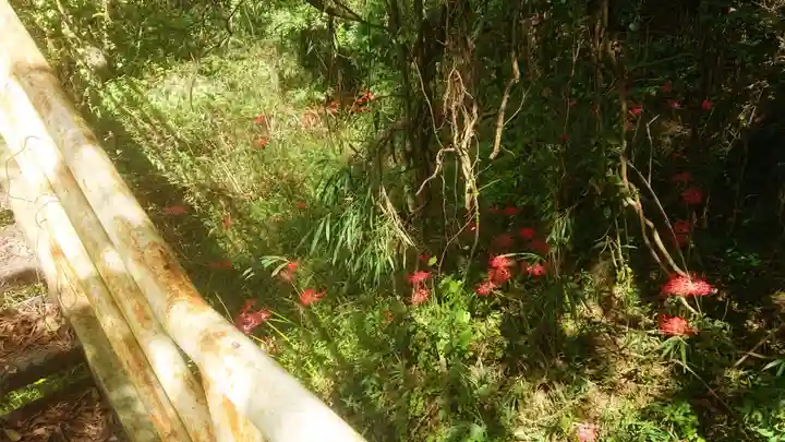 龍宮之宮の自然