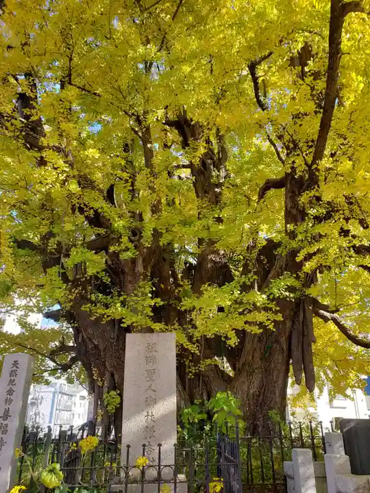 善福寺(東京都)