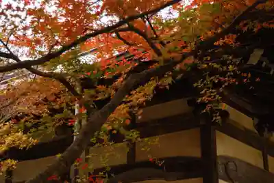 日頼寺(山口県)