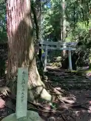 大矢谷白山神社の鳥居