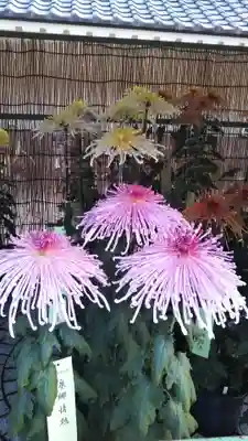 八幡神社の自然