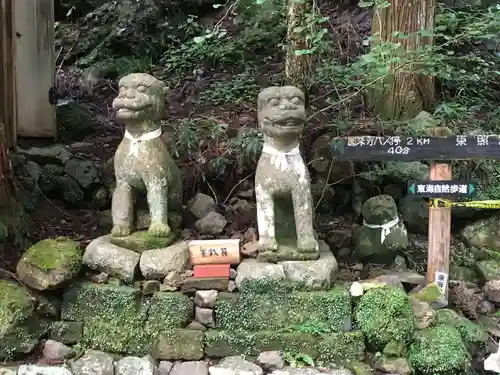 鳳来山東照宮の狛犬