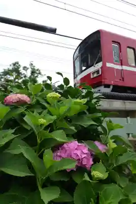 笠䅣稲荷神社(神奈川県)